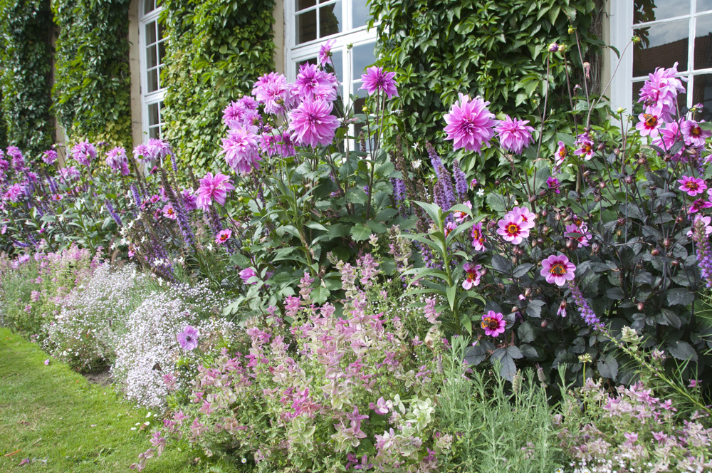 ST_Bad Driburg_Graeflicher Park_Bordure de Grandmere-3111