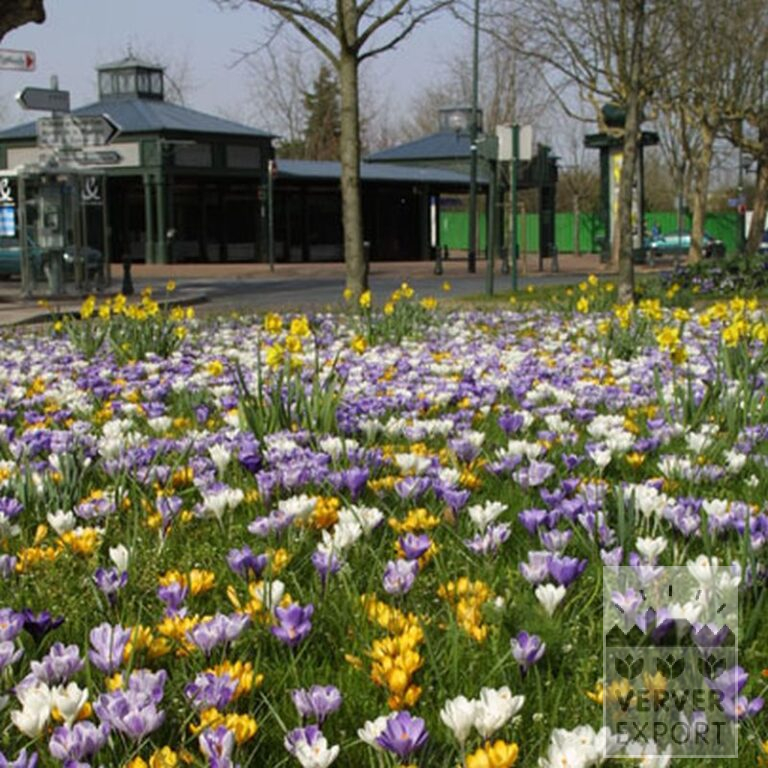 Mix Verver 'Heiloo' © (11002) - Afbeelding 3