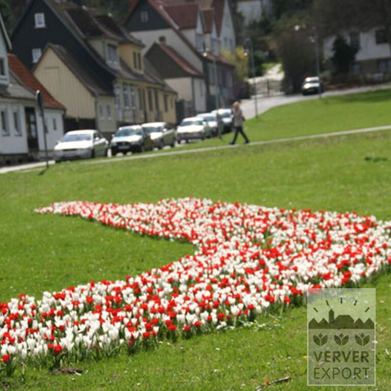 Mix Verver 'Ameland' © (11006) - Afbeelding 5