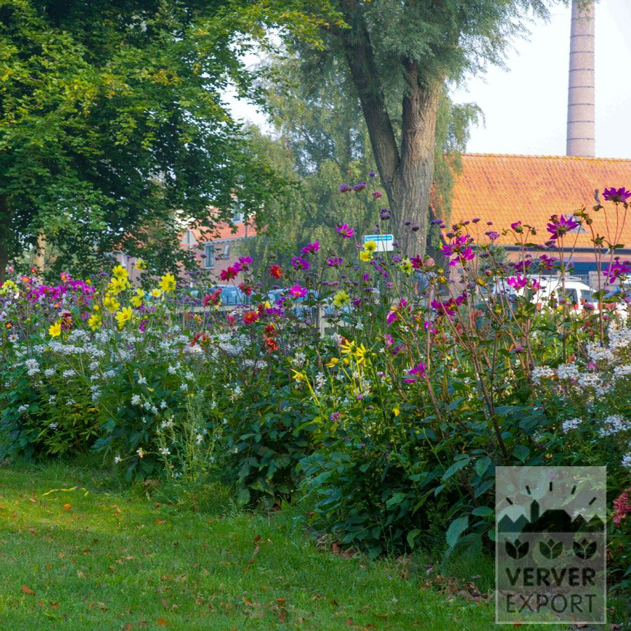 Zomer Tram Verver 'Bees and Butterflies' © / 6 m² (29309) - Afbeelding 2