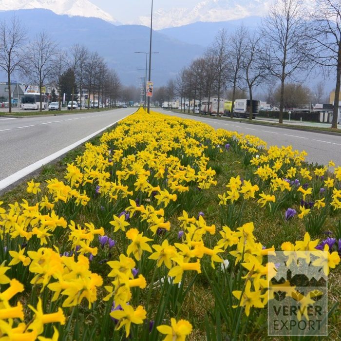 Kits 'Prima Venise des Alpes' © (11182) - Afbeelding 3
