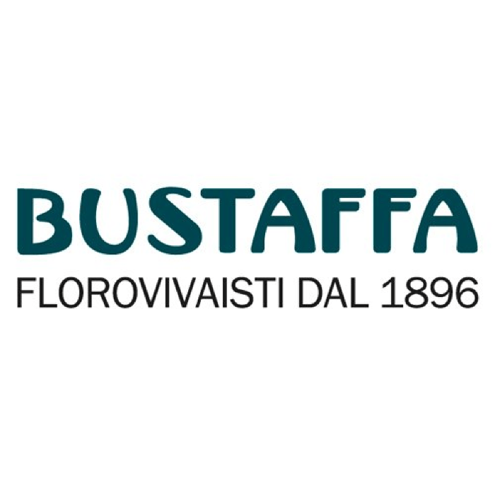 Bustaffa