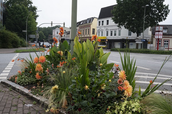 Elmshorn